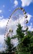 Wonder wheel in the park