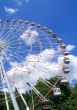 Wonder wheel in the park