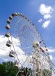 Wonder wheel in the park