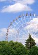 Wonder wheel in the park