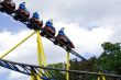 Roller Coaster