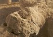Ancient Human Remains