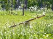seesaw