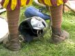 knight helmet