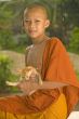 Buddhist novice