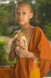 Buddhist novice