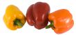 sweet  peppers of three colors