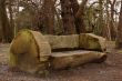 wooden bench in park