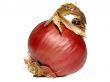 Red onion