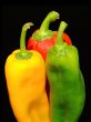 Colored peppers