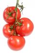 Vine Tomatoes