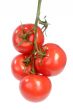 Truss of tomatoes