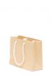 Brown Shopping Bag Isolated
