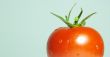 tomato red macro