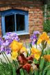 country house