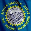 South Dakota Flag Closeup