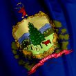 Vermont Flag Closeup