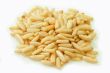 Pine nut