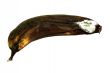 Mouldy Banana