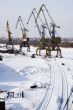 River cranes at winter season