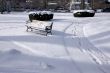 Empty Snowy Bench