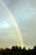 Rainbow up on the forest