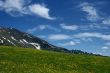 meadow with flowers over mountains