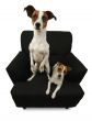 Two Jack Russell Terriers on a black chair