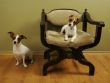 `I call the chair!`