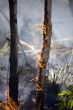 Natural disaster