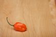 Orange Chili Pepper