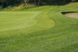 Abstract of Bunkers and Putting Green