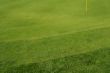 Abstract of Bunkers and Putting Green