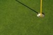 Lush, Freshly Mowed Golf Green & Flag