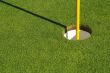 Lush, Freshly Mowed Golf Green & Flag