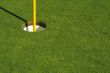Lush, Freshly Mowed Golf Green & Flag