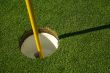 Lush, Freshly Mowed Golf Green & Flag