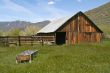 Rustic Abandoned Barn