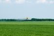 Crop Duster