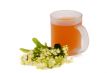 Linden tea cup