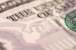Abstract Five Dollar Bill