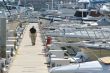 Walking Down the Dock