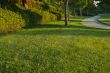 Neighborhood Sidewalk