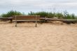Lonely Bench