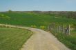 Country road and meadow.