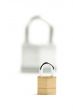 Pair of Padlocks