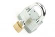 Pair of Padlocks