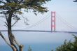 The Golden Gate Bridge in the Morning Fog