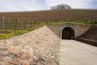 Vineyard Hillside with Cellar Entry and Trees