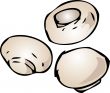 Button mushrooms